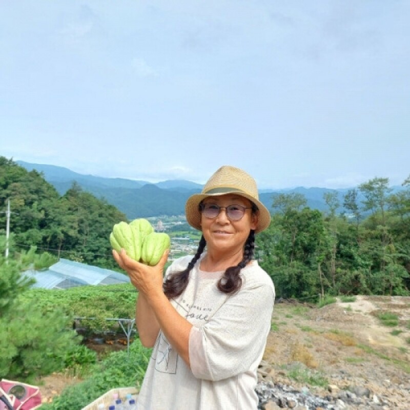 우렁각시농장,평창 우렁각시농장 차요테 2kg