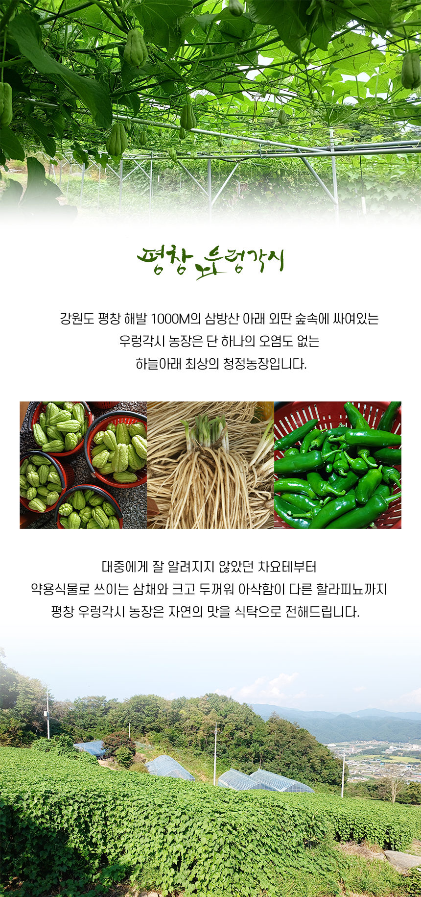 평창 우렁각시농장 소개